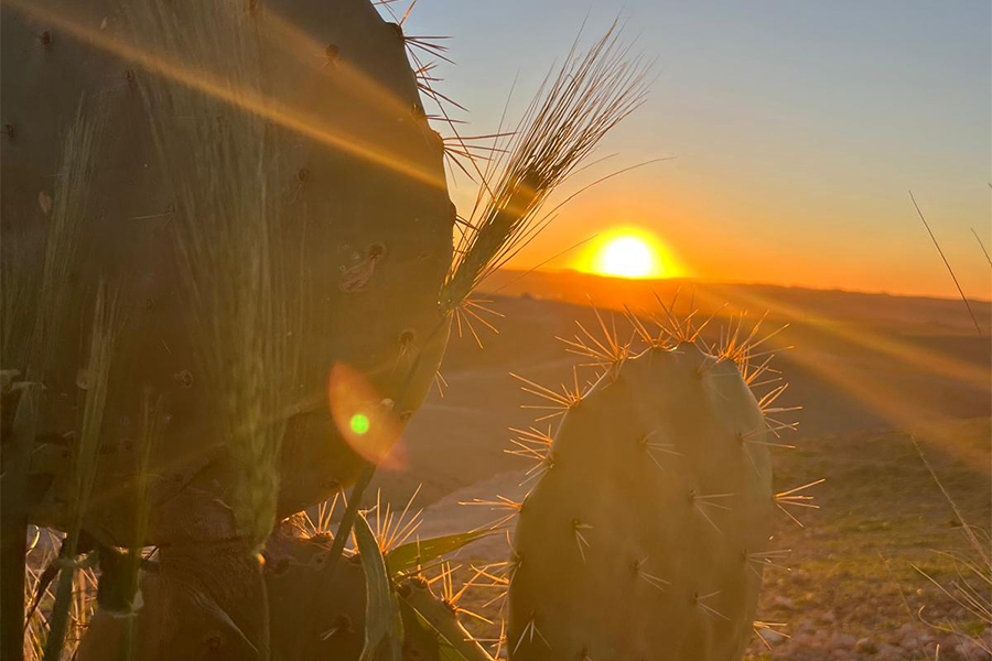 Sunrise in Agafay Desert, Morrocco