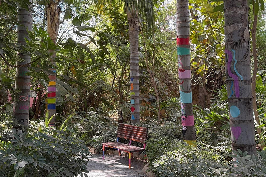 Coloured bench and trees in anima garden in Marrakesh, Morocco
