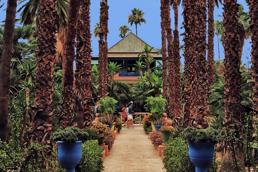 Palm Trees in Majorelle Garden in Marrakesh, Morocco